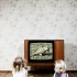 Telewizja i filmy DVD szkodzą dzieciom poniżej trzeciego roku życia
