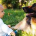 Pies, terapeuta dzieci