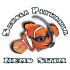 Szkoła Pływania Nemo Swim